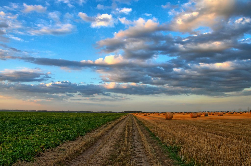 nature champ agriculture